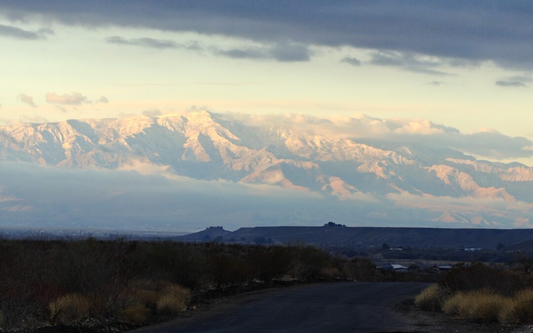 Gila Box – Bonita Creek Road Repair