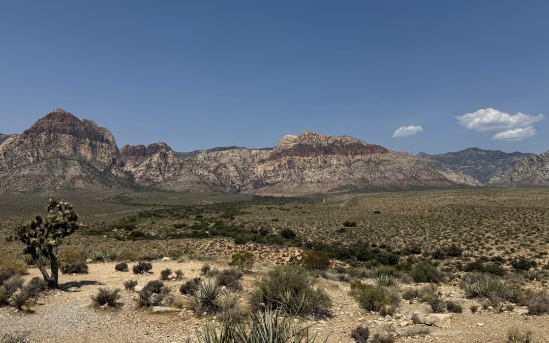 Red Rock Legacy Trail